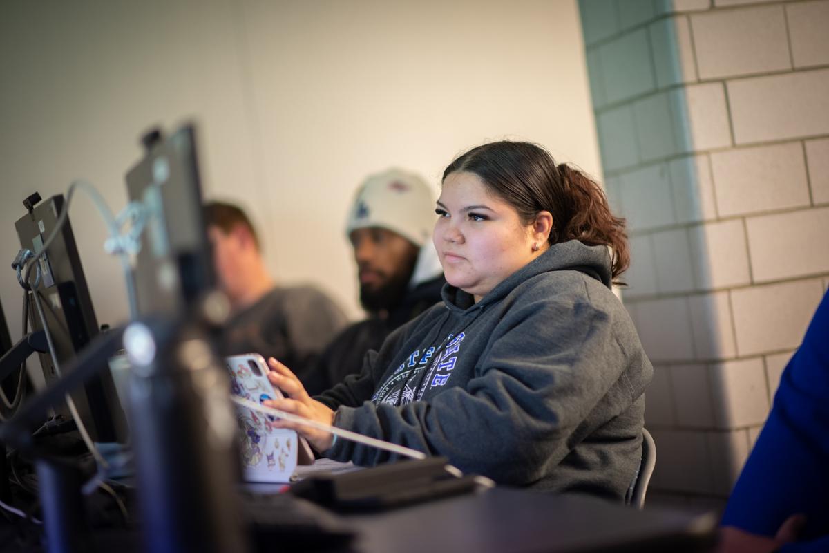 Student in a computer lab wearing a WSU sweatshirt.