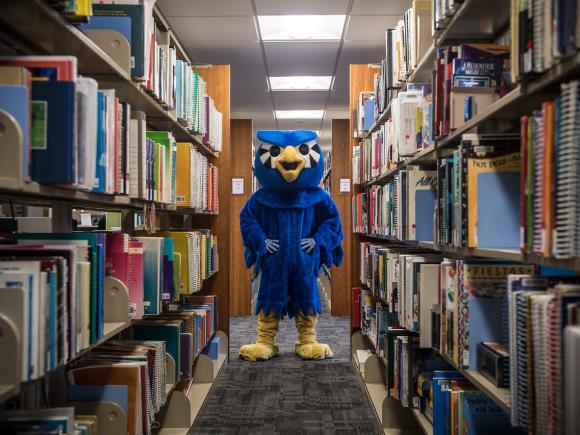 Nestor owl mascot in the library with shelves of books.