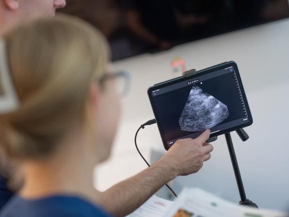 A close-up photo of an ultrasound, as students practice using the new Butterfly ultrasound tools in the Physician Assistant program.