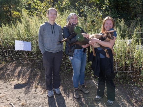 Lindsey Dion, Sophia Milko, and Abbey Majka, three environmental majors. Sophia and Abbey hold goats as part of their senior capstone project, which involves goats eating invasive plant species around South Lot.