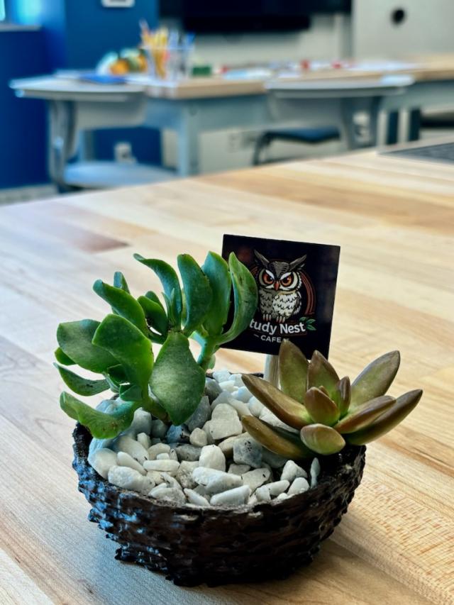 study nest cafe.- final prototype