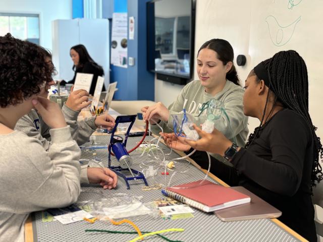 nursing research 3 ride