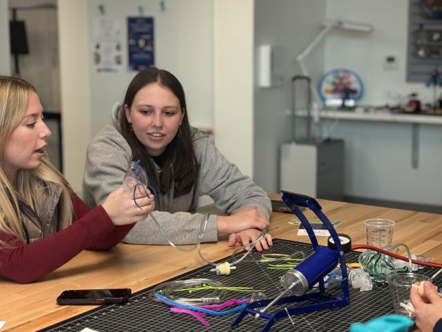 nursing research 6 ride