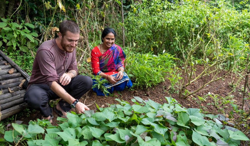 Agriculture Sector - Photo courtesy of the United States Peace Corps Media Library