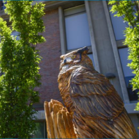 Hand carved wooden owl outside the Ely Building.